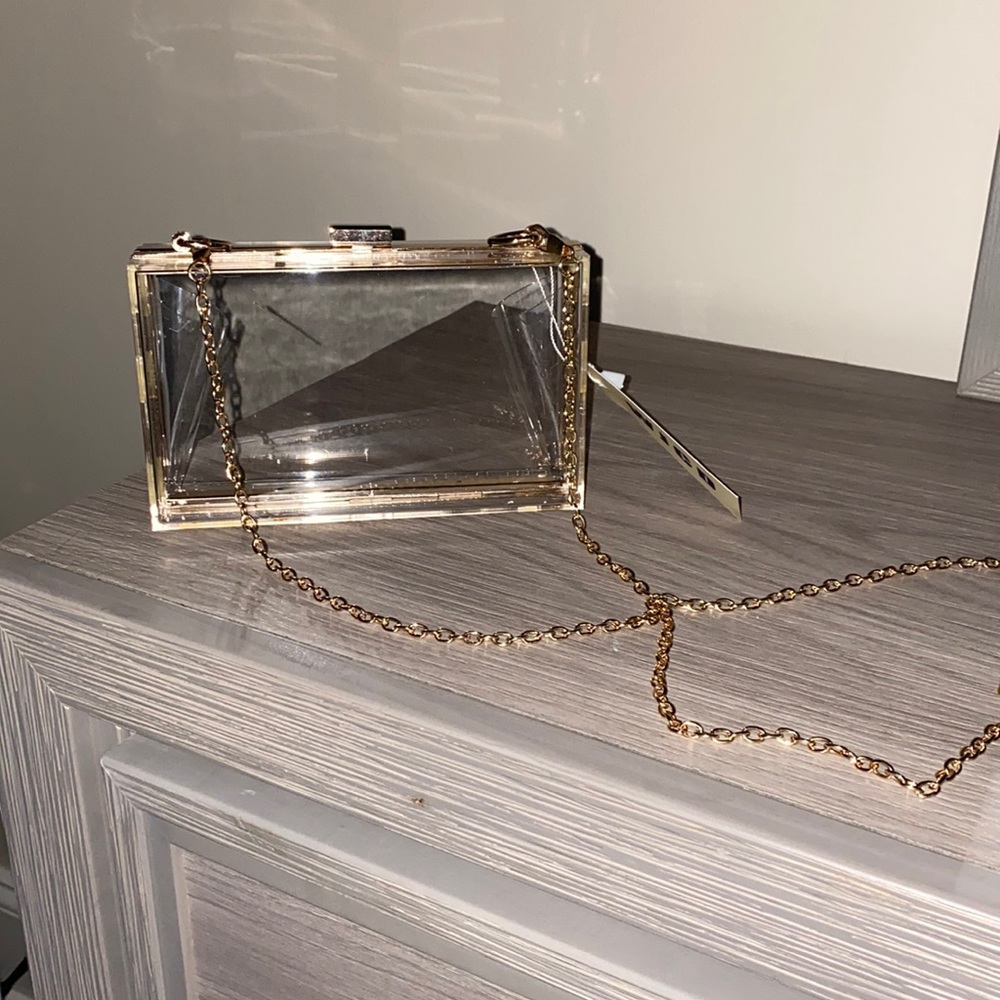 Transparent, Gold chain linked Purse
